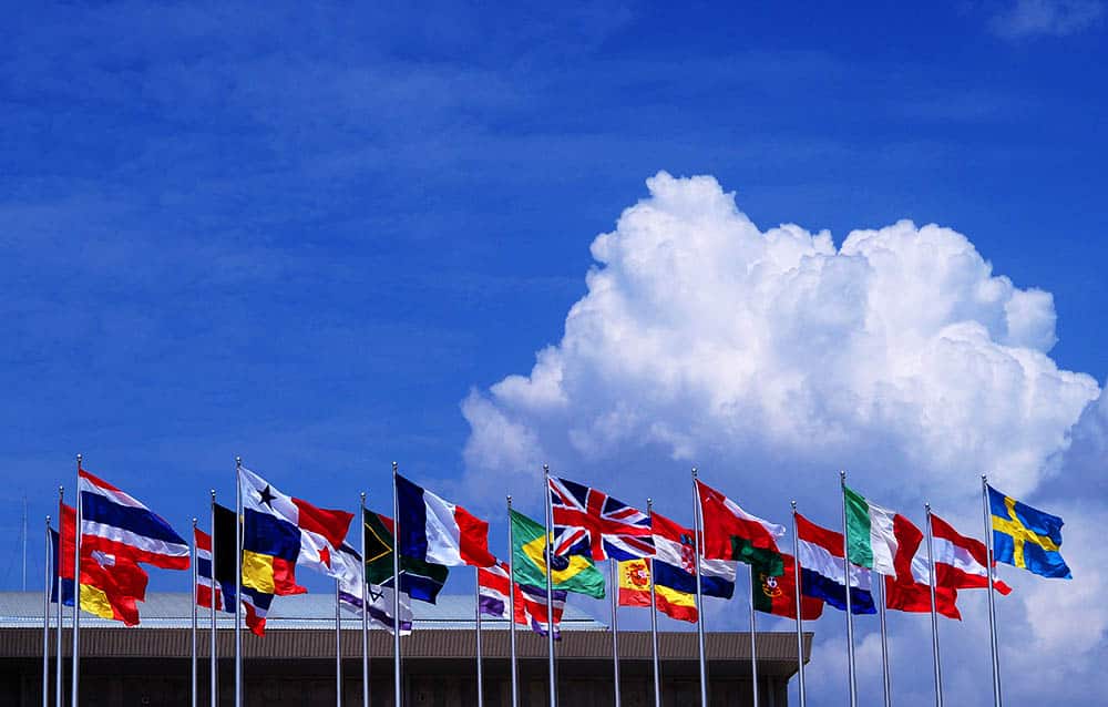 La Organización Mundial del Comercio: Una visión global del comercio internacional